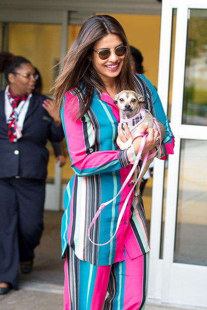 Priyanka Chopra's Pink-Blue Co-ord Set